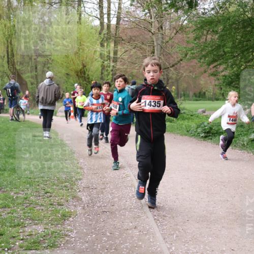 19.04.2026 - Hammer Lauf Lena Gebhardt http://msf.ph/oto/9562511 19.04.2026 09:26:04 Laufen 8408, 113, 1435, 1448 meine-sportfotos.de