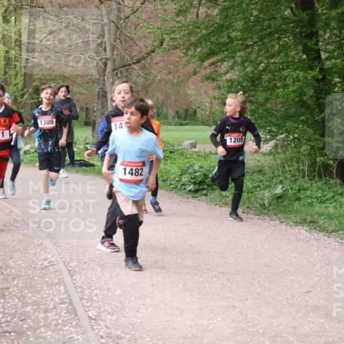 19.04.2026 - Hammer Lauf Lena Gebhardt http://msf.ph/oto/9562535 19.04.2026 09:26:12 Laufen 014, 911, 1309, 14, 1482, 1205 meine-sportfotos.de