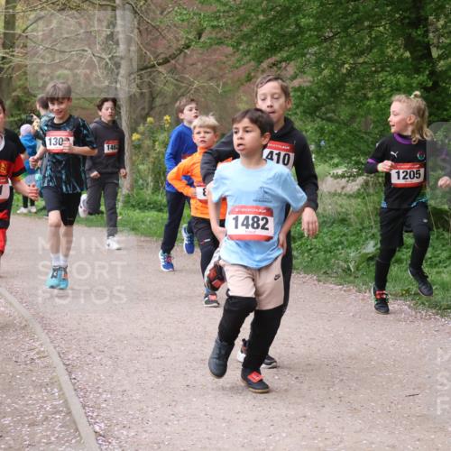 19.04.2026 - Hammer Lauf Lena Gebhardt http://msf.ph/oto/9562536 19.04.2026 09:26:13 Laufen 893, 16, 911, 130, 1462, 410, 1205, 16, 1482 meine-sportfotos.de