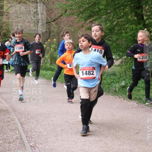 19.04.2026 - Hammer Lauf Lena Gebhardt http://msf.ph/oto/9562537 19.04.2026 09:26:13 Laufen 893, 16, 911, 1309, 146, 16, 1410, 87, 16, 1482, 205 meine-sportfotos.de