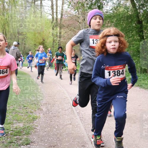 19.04.2026 - Hammer Lauf Lena Gebhardt http://msf.ph/oto/9562559 19.04.2026 09:26:19 Laufen 16, 1864, 1397, 1707, 16, 13, 16, 1384 meine-sportfotos.de