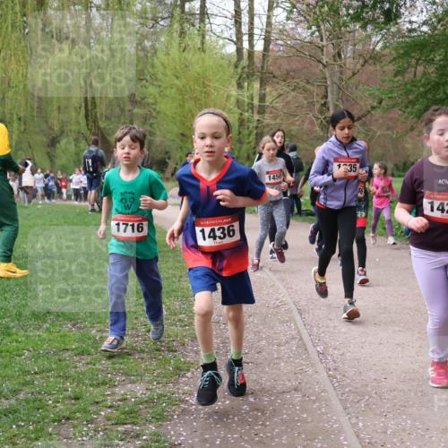 19.04.2026 - Hammer Lauf Lena Gebhardt http://msf.ph/oto/9562590 19.04.2026 09:26:29 Laufen 09, 1716, 16, 1436, 1450, 1235, 76, 564, 16, 1425 meine-sportfotos.de