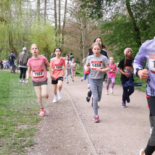 19.04.2026 - Hammer Lauf Lena Gebhardt http://msf.ph/oto/9562597 19.04.2026 09:26:30 Laufen 1557, 1541, 1023, 1427, 1450, 564, 1657, 16, 163 meine-sportfotos.de