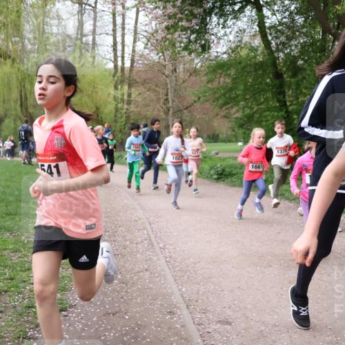 19.04.2026 - Hammer Lauf Lena Gebhardt http://msf.ph/oto/9562601 19.04.2026 09:26:32 Laufen 541, 150, 1023, 427, 1370, 1661, 16, 14 meine-sportfotos.de