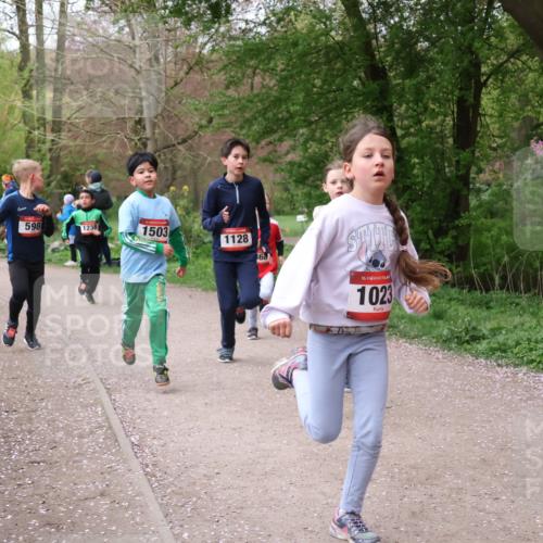 19.04.2026 - Hammer Lauf Lena Gebhardt http://msf.ph/oto/9562605 19.04.2026 09:26:33 Laufen 598, 1238, 1503, 1128, 360, 16, 1023 meine-sportfotos.de