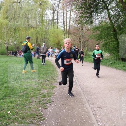 19.04.2026 - Hammer Lauf Lena Gebhardt http://msf.ph/oto/9562611 19.04.2026 09:26:35 Laufen 1238, 598, 868 meine-sportfotos.de