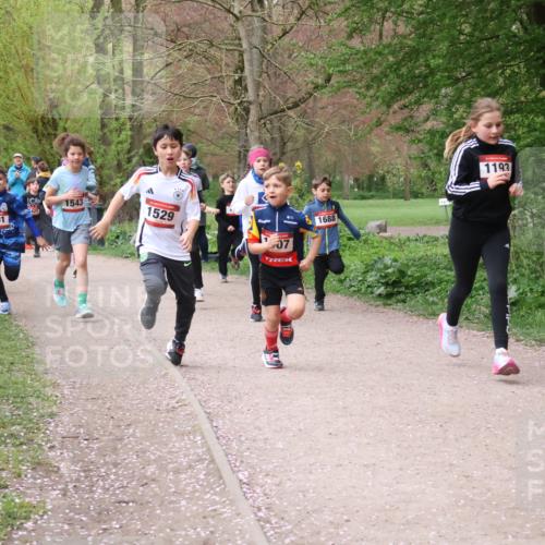 19.04.2026 - Hammer Lauf Lena Gebhardt http://msf.ph/oto/9562617 19.04.2026 09:26:37 Laufen 136, 1543, 1529, 1701, 07, 1688, 1193, 1855 meine-sportfotos.de