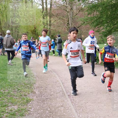 19.04.2026 - Hammer Lauf Lena Gebhardt http://msf.ph/oto/9562620 19.04.2026 09:26:38 Laufen 1501, 1701, 591, 1543, 1529, 1615, 1407, 1688 meine-sportfotos.de