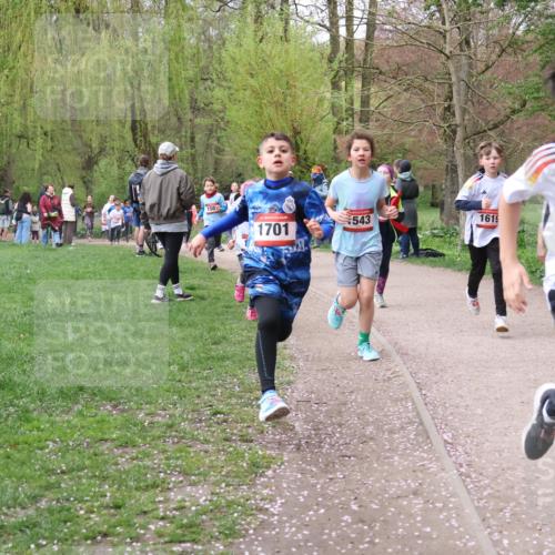 19.04.2026 - Hammer Lauf Lena Gebhardt http://msf.ph/oto/9562622 19.04.2026 09:26:38 Laufen 150, 543, 1701, 1619, 1529 meine-sportfotos.de