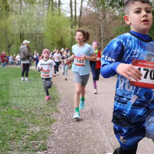 19.04.2026 - Hammer Lauf Lena Gebhardt http://msf.ph/oto/9562626 19.04.2026 09:26:39 Laufen 1354, 1543, 16, 701, 1846 meine-sportfotos.de