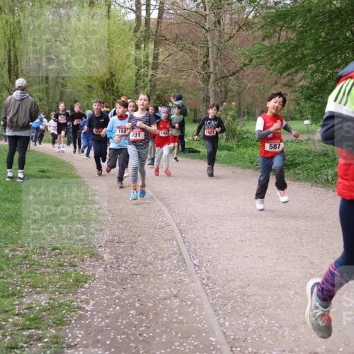 19.04.2026 - Hammer Lauf Lena Gebhardt http://msf.ph/oto/9562631 19.04.2026 09:26:40 Laufen 1844, 594, 1519, 150, 1463, 1421, 591, 587, 72 meine-sportfotos.de