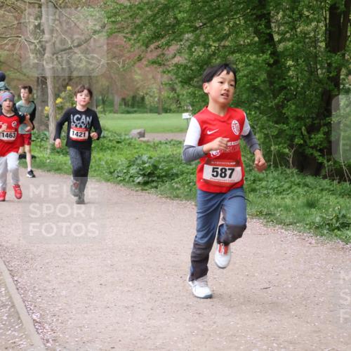 19.04.2026 - Hammer Lauf Lena Gebhardt http://msf.ph/oto/9562633 19.04.2026 09:26:41 Laufen 591, 1463, 1421, 16, 587 meine-sportfotos.de