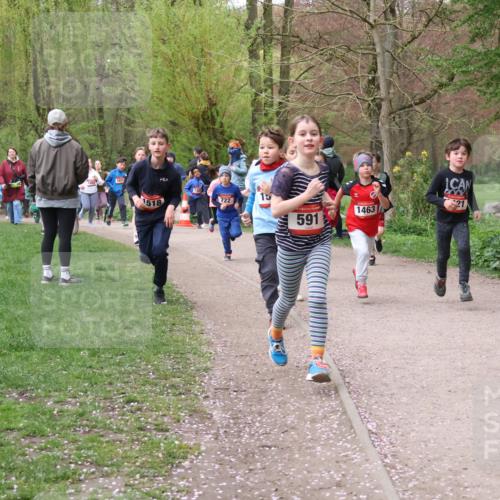 19.04.2026 - Hammer Lauf Lena Gebhardt http://msf.ph/oto/9562635 19.04.2026 09:26:41 Laufen 1518, 722, 15, 591, 1463, 21 meine-sportfotos.de