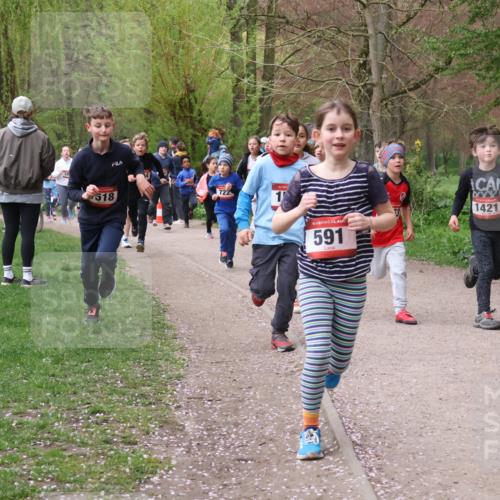 19.04.2026 - Hammer Lauf Lena Gebhardt http://msf.ph/oto/9562637 19.04.2026 09:26:42 Laufen 518, 722, 591, 1421 meine-sportfotos.de