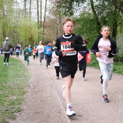 19.04.2026 - Hammer Lauf Lena Gebhardt http://msf.ph/oto/9562654 19.04.2026 09:26:47 Laufen 1882, 1411, 41, 16, 1844 meine-sportfotos.de