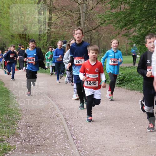 19.04.2026 - Hammer Lauf Lena Gebhardt http://msf.ph/oto/9562668 19.04.2026 09:26:51 Laufen 1414, 1058, 1024, 821, 1245, 1460, 16 meine-sportfotos.de