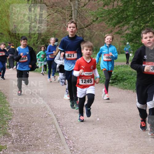 19.04.2026 - Hammer Lauf Lena Gebhardt http://msf.ph/oto/9562669 19.04.2026 09:26:51 Laufen 141, 1058, 1024, 821, 1245, 1460, 16, 39 meine-sportfotos.de