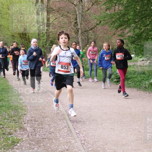 19.04.2026 - Hammer Lauf Lena Gebhardt http://msf.ph/oto/9562691 19.04.2026 09:26:58 Laufen 6, 1506, 958, 853, 1057, 1791, 1429, 125 meine-sportfotos.de