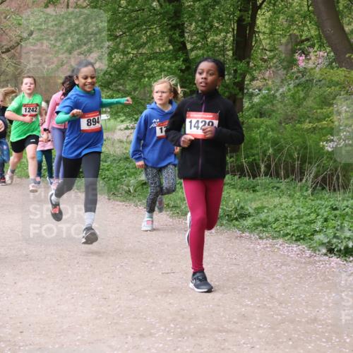 19.04.2026 - Hammer Lauf Lena Gebhardt http://msf.ph/oto/9562696 19.04.2026 09:26:59 Laufen 1242, 894, 1429 meine-sportfotos.de