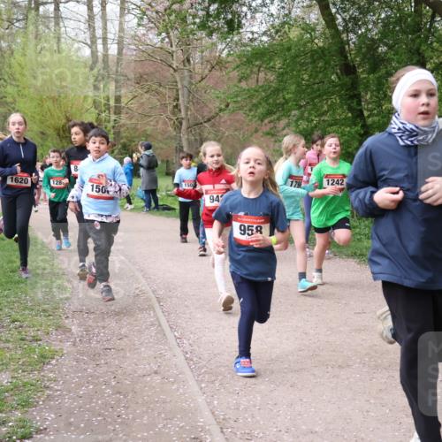 19.04.2026 - Hammer Lauf Lena Gebhardt http://msf.ph/oto/9562702 19.04.2026 09:27:00 Laufen 1620, 128, 8, 150, 1504, 94, 958, 1796, 1242 meine-sportfotos.de