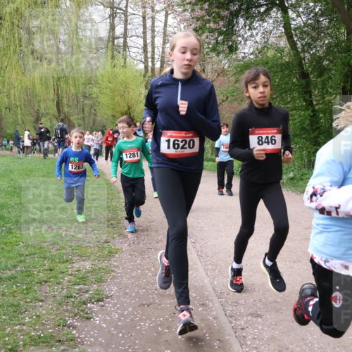 19.04.2026 - Hammer Lauf Lena Gebhardt http://msf.ph/oto/9562710 19.04.2026 09:27:02 Laufen 1283, 1281, 16, 1620, 150, 16, 846, 1057, 50, 16, 52 meine-sportfotos.de