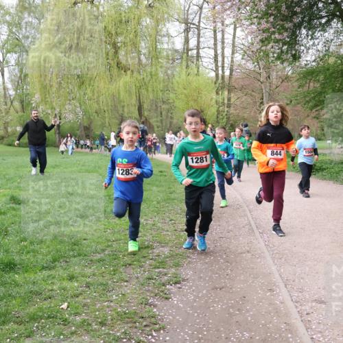 19.04.2026 - Hammer Lauf Lena Gebhardt http://msf.ph/oto/9562712 19.04.2026 09:27:02 Laufen 970, 1283, 1281, 844, 1504 meine-sportfotos.de