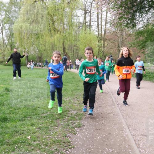 19.04.2026 - Hammer Lauf Lena Gebhardt http://msf.ph/oto/9562713 19.04.2026 09:27:02 Laufen 128, 1281, 1504, 2, 844 meine-sportfotos.de