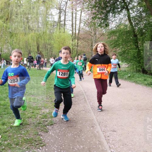 19.04.2026 - Hammer Lauf Lena Gebhardt http://msf.ph/oto/9562714 19.04.2026 09:27:03 Laufen 1283, 1281, 970, 844, 1504 meine-sportfotos.de