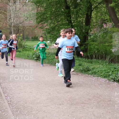 19.04.2026 - Hammer Lauf Lena Gebhardt http://msf.ph/oto/9562720 19.04.2026 09:27:04 Laufen 1918, 970, 1486, 1112, 99, 1192, 1504 meine-sportfotos.de