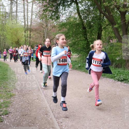 19.04.2026 - Hammer Lauf Lena Gebhardt http://msf.ph/oto/9562729 19.04.2026 09:27:06 Laufen 1, 1550, 1486, 1112, 16, 1504 meine-sportfotos.de