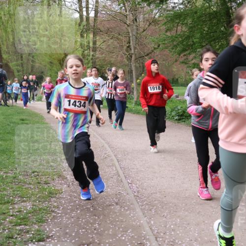 19.04.2026 - Hammer Lauf Lena Gebhardt http://msf.ph/oto/9562734 19.04.2026 09:27:07 Laufen 1237, 560, 1918, 1382, 16, 1434, 16, 1550 meine-sportfotos.de
