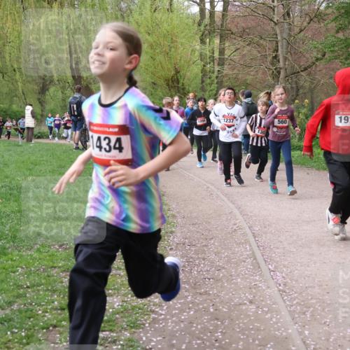 19.04.2026 - Hammer Lauf Lena Gebhardt http://msf.ph/oto/9562736 19.04.2026 09:27:08 Laufen 1434, 1094, 1237, 560, 19, 1113 meine-sportfotos.de