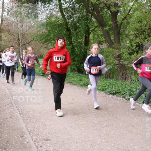 19.04.2026 - Hammer Lauf Lena Gebhardt http://msf.ph/oto/9562738 19.04.2026 09:27:08 Laufen 1237, 897, 1812, 560, 1918, 1095, 1113 meine-sportfotos.de