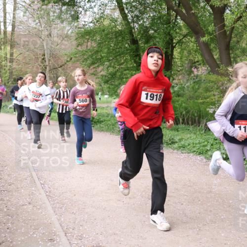 19.04.2026 - Hammer Lauf Lena Gebhardt http://msf.ph/oto/9562740 19.04.2026 09:27:09 Laufen 1382, 148, 162, 897, 24, 1237, 30, 560, 16, 1918, 16, 1113 meine-sportfotos.de