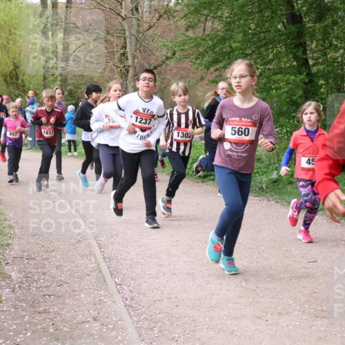 19.04.2026 - Hammer Lauf Lena Gebhardt http://msf.ph/oto/9562742 19.04.2026 09:27:09 Laufen 1382, 148, 1622, 1237, 1302, 1812, 897, 560, 45, 16, 1918 meine-sportfotos.de