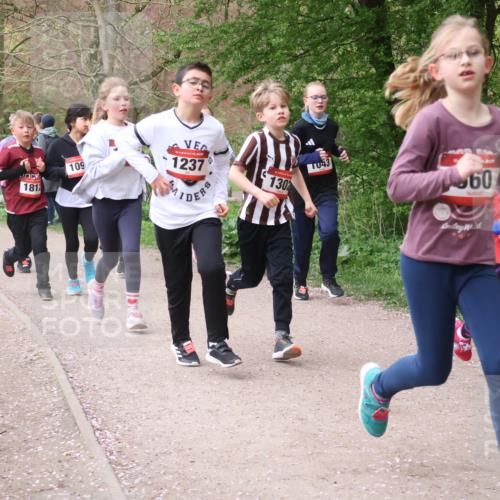 19.04.2026 - Hammer Lauf Lena Gebhardt http://msf.ph/oto/9562745 19.04.2026 09:27:10 Laufen 162, 897, 1812, 109, 130, 043, 60 meine-sportfotos.de