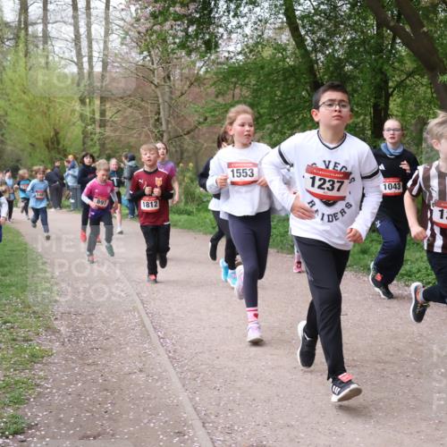 19.04.2026 - Hammer Lauf Lena Gebhardt http://msf.ph/oto/9562749 19.04.2026 09:27:11 Laufen 1481, 1382, 891, 1812, 1553, 16, 1237, 1043, 16, 1302 meine-sportfotos.de