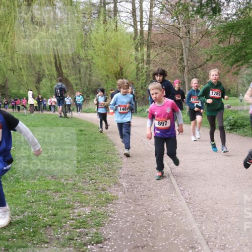 19.04.2026 - Hammer Lauf Lena Gebhardt http://msf.ph/oto/9562756 19.04.2026 09:27:12 Laufen 16, 1382, 1643, 148, 897, 790, 1358, 1789, 1812 meine-sportfotos.de