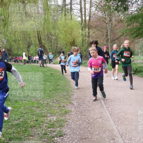 19.04.2026 - Hammer Lauf Lena Gebhardt http://msf.ph/oto/9562757 19.04.2026 09:27:13 Laufen 382, 164, 1481, 897, 790, 135, 1789, 1812 meine-sportfotos.de