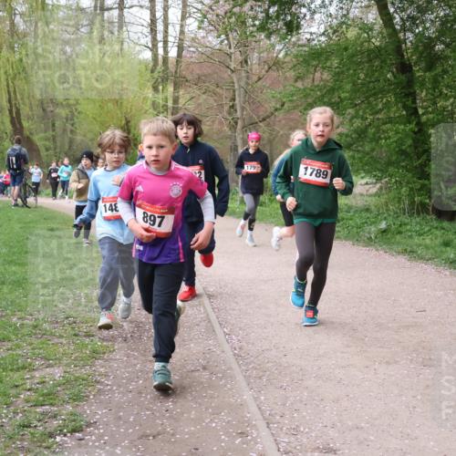19.04.2026 - Hammer Lauf Lena Gebhardt http://msf.ph/oto/9562760 19.04.2026 09:27:13 Laufen 148, 897, 179, 1789, 16, 1324 meine-sportfotos.de