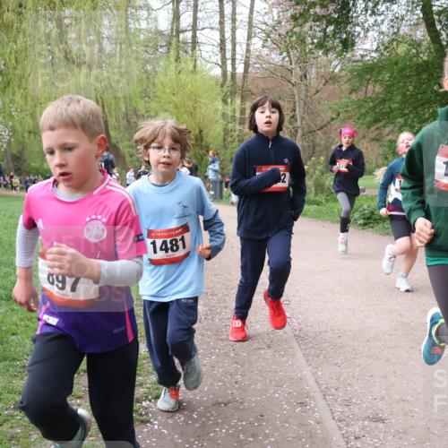 19.04.2026 - Hammer Lauf Lena Gebhardt http://msf.ph/oto/9562764 19.04.2026 09:27:14 Laufen 097, 16, 1481, 16, 1789 meine-sportfotos.de