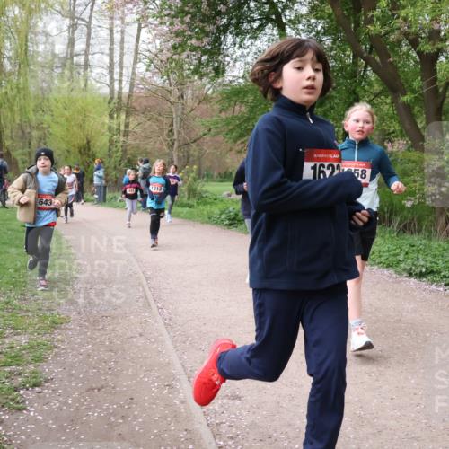 19.04.2026 - Hammer Lauf Lena Gebhardt http://msf.ph/oto/9562767 19.04.2026 09:27:15 Laufen 643, 1442, 1313, 16, 16258 meine-sportfotos.de