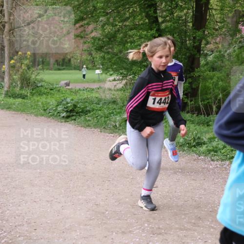 19.04.2026 - Hammer Lauf Lena Gebhardt http://msf.ph/oto/9562777 19.04.2026 09:27:18 Laufen 1312, 16, 1442, 13 meine-sportfotos.de