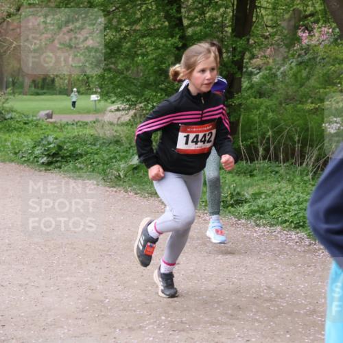 19.04.2026 - Hammer Lauf Lena Gebhardt http://msf.ph/oto/9562778 19.04.2026 09:27:18 Laufen 16, 1442, 1 meine-sportfotos.de