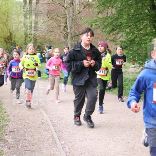 19.04.2026 - Hammer Lauf Lena Gebhardt http://msf.ph/oto/9562800 19.04.2026 09:27:26 Laufen 1327, 1376, 1363, 924, 880, 1, 873, 1835, 16, 811 meine-sportfotos.de