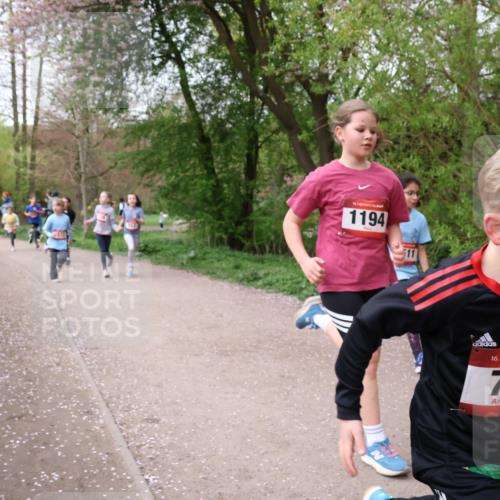 19.04.2026 - Hammer Lauf Lena Gebhardt http://msf.ph/oto/9562831 19.04.2026 09:27:39 Laufen 1194, 11, 16, 795 meine-sportfotos.de