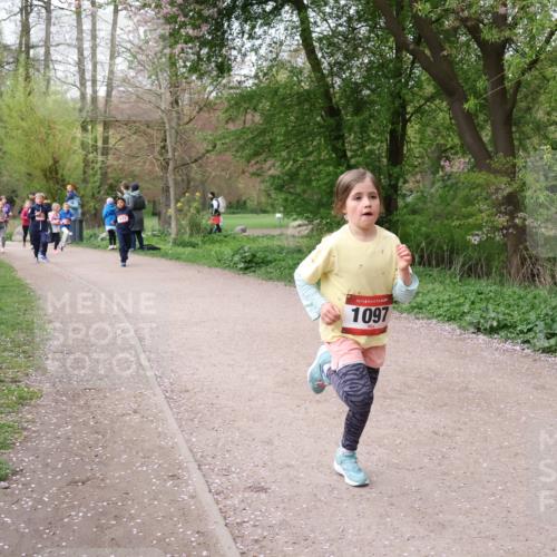 19.04.2026 - Hammer Lauf Lena Gebhardt http://msf.ph/oto/9562842 19.04.2026 09:27:44 Laufen 16, 1097 meine-sportfotos.de