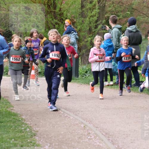19.04.2026 - Hammer Lauf Lena Gebhardt http://msf.ph/oto/9562844 19.04.2026 09:27:46 Laufen 102, 1562, 29, 50, 1892, 56, 41, 1235, 841 meine-sportfotos.de
