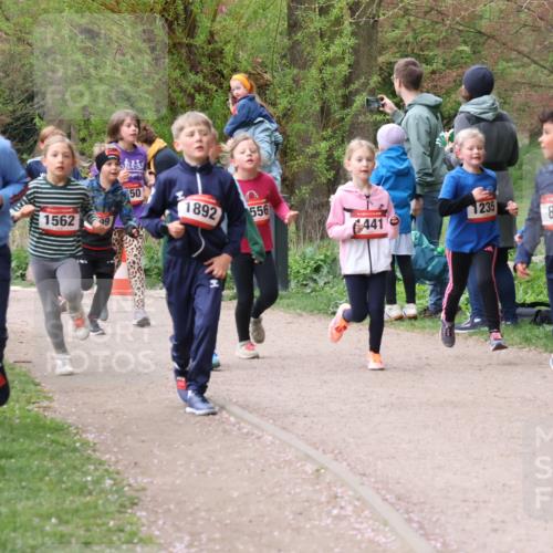 19.04.2026 - Hammer Lauf Lena Gebhardt http://msf.ph/oto/9562845 19.04.2026 09:27:46 Laufen 50, 177, 1020, 1562, 99, 1892, 556, 1235, 441, 841 meine-sportfotos.de