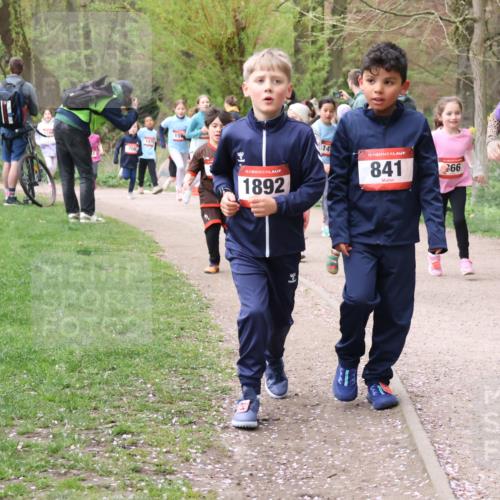 19.04.2026 - Hammer Lauf Lena Gebhardt http://msf.ph/oto/9562855 19.04.2026 09:27:51 Laufen 147, 16, 1892, 14, 16, 841, 66, 1650, 1135 meine-sportfotos.de